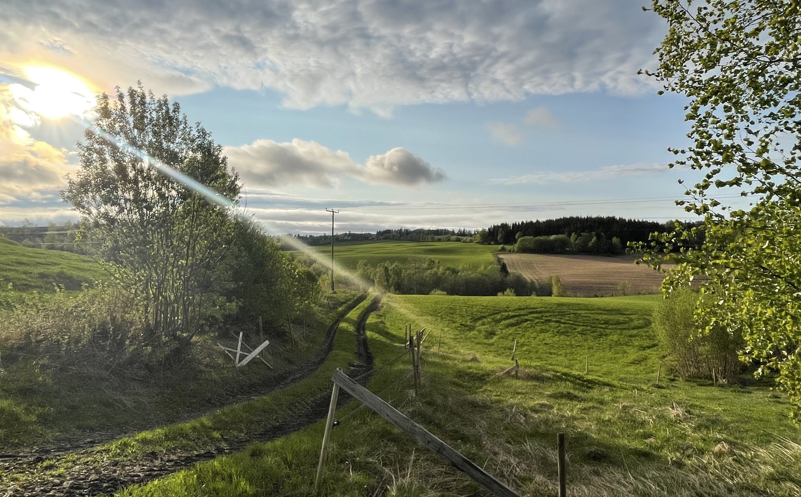 sommerlandskap Lunner kommune