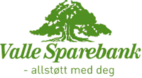 valle_sparebank_logo valle_sparebank_logo